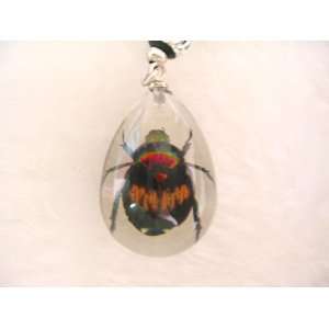  Real Shining Bettle Lucite Charm for Cell Phone 
