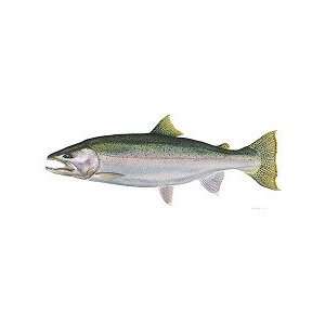  Flick Ford Steelhead Limited Edition Canvas: Home 