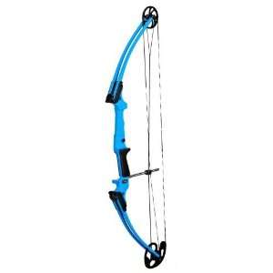  Genesis Compound Bow Kit: Sports & Outdoors