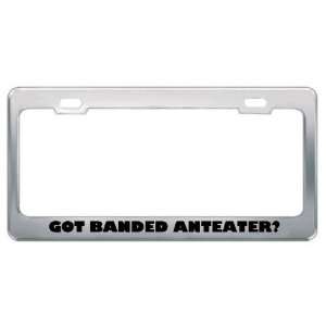 Got Banded Anteater? Animals Pets Metal License Plate Frame Holder 