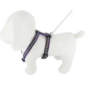   Cheyenne Nylon Roman Dog Harness, 1/2 x 12 20, Purple: Pet Supplies