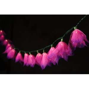  Flower Lights (Lavender   Light Pink/ Purple) From the 