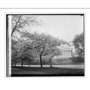 Historic Print (L) Lincoln Memorial & Cherry trees, 4/10 