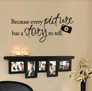   every picture has a story to tell. Vinyl Wall Quote Decal  