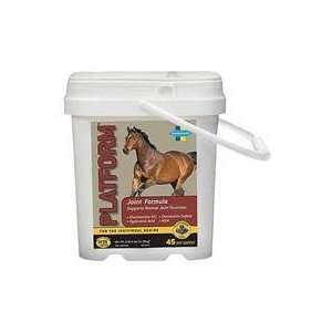  JOINT FORMULA, Size 2.8 POUND (Catalog Category Equine Supplements 