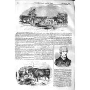   1843 FLEMISH FARM WINDSOR PARK HOSLER HIGHLAND CATTLE: Home & Kitchen