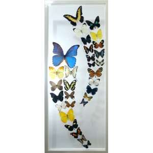  Double Wave Mounted Butterfly Wall Decor 