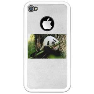 iPhone 4 or 4S Clear Case White Panda Bear Eating 