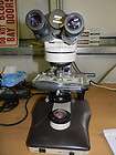 Nikon Labophot 2 Stereo Microscope with 3 Objectives, 4, 10, 40X