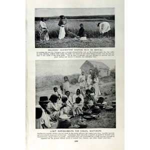  c1920 MALAGASY HARVESTERS RICE MUSIC MINSTRELS WIFE