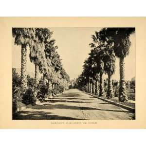  1906 Palm Drive Adams St. Los Angeles California Print 