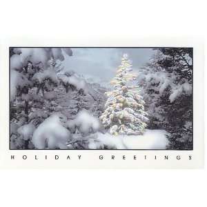  10 Pack of Christmas Cards Holiday Greetings Lit Tree 