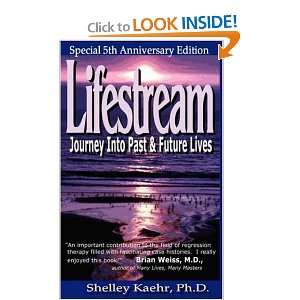  Lifestream Journey into Past and Future Lives [Paperback 