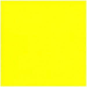  Canford Paper Dresden Yellow 20 1/2x30 1/2 Arts, Crafts 