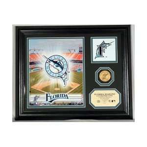  Florida Marlins Team Pride Photo Mint: Sports & Outdoors