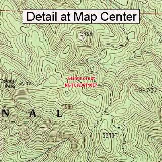  USGS Topographic Quadrangle Map   Giant Forest, California 