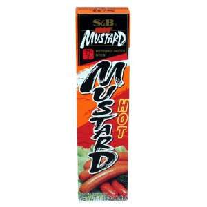 Prepared Hot Mustard, 1.52 Ounce Tubes (Pack of 10)  