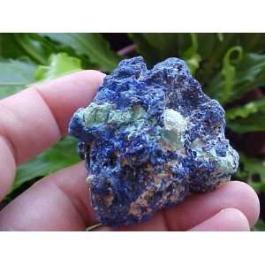  A6814 Gemqz Blue Azurite Malachite Cluster 