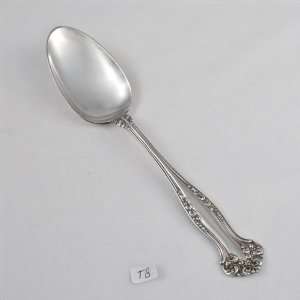  Avon by 1847 Rogers, Silverplate Tablespoon (Serving Spoon 
