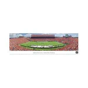  Jordan Hare Stadium Auburn Tigers Panoramic Print: Sports 