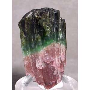  Tourmaline Bi Color Tourmaline Natural Gem Crystal Brazil 