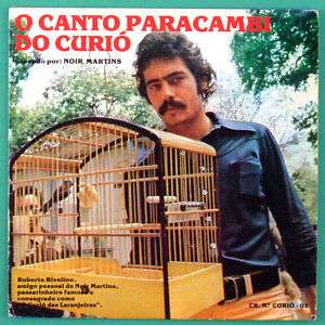 NOIR MARTINS CANTO CURIO RIVELINO BIRDS SING BRAZIL  