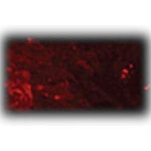  Red 1 Lb. Glass Embers Media Enhancement Kit for Napoleon Fireplaces 