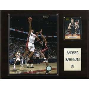Toronto Raptors Andrea Bargnani 12x15 Player Plaque  