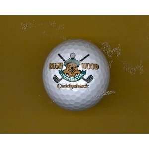   COUNTRY CLUB CADDYSHACK GOLF BALL WITH CASE (GOLF): Sports & Outdoors