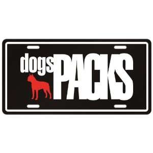  New  Boston Terrier Dogs Packs  License Plate Dog