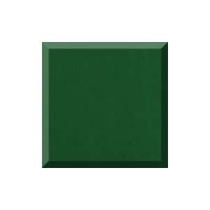  1ea   24 X 417 Forest Green Gloss Gift Wrap: Health 