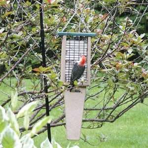   Double Cake Pileated Suet Feeder   Green Roof: Patio, Lawn & Garden