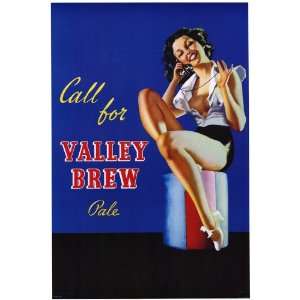  Valley Brew Pale   Party/College Posters   24 x 36