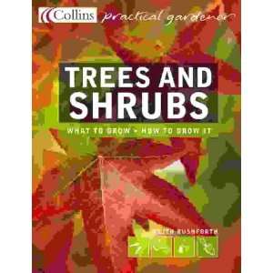  Trees and Shrubs (Practical Gardener) (9780007146543 