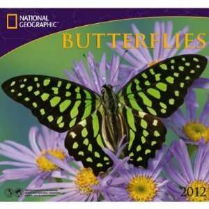  Butterflies National Geographic with Map 2012 Wall 
