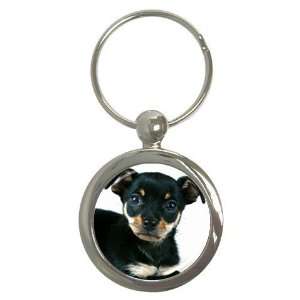  Miniature Pinscher Puppy Dog Round Key Chain AA0728 
