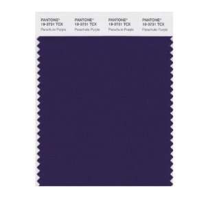  PANTONE SMART 19 3731X Color Swatch Card, Parachute Purple 