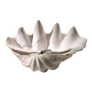   Large Decorative 21 White Clam Shell Bowl