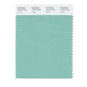    PANTONE SMART 14 5413X Color Swatch Card, Holiday