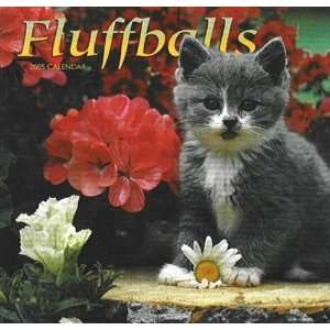  Fluffballs Wall Calendar 2005 (9781553773788) Books