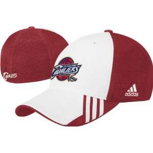Cleveland Cavaliers Mesh Back Structured Flex Hat  Sports 
