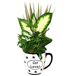 Tropical Plants Cat Lover Ceramic Planter  