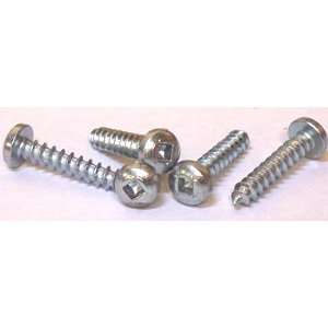 Self Tapping Screws Square Drive / Pan Head / Type A / 18 8 Stainless 