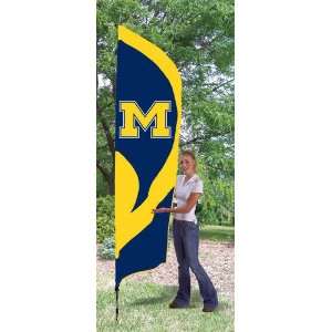Michigan Wolverines Team Pole Flag:  Sports & Outdoors