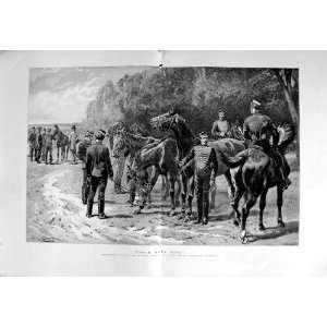  1889 Examination Cavalry Artillery Horses War Service 