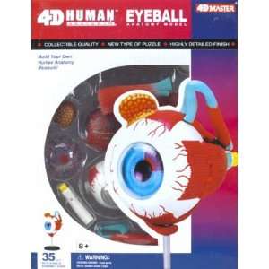    4D Vision   Visible Eye Anatomy Kit (Science) Toys & Games