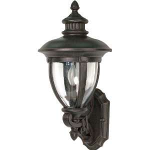  60/954 Arm Up, Wall Lantern with Clear Seed Glass, Old Penny Bronze 