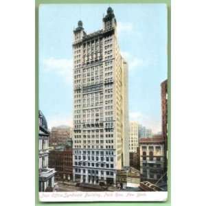  Postcard Syndicated Building Park Row New York City 