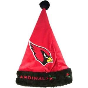  NFL Arizona Cardinals Team Santa Hat: Sports & Outdoors