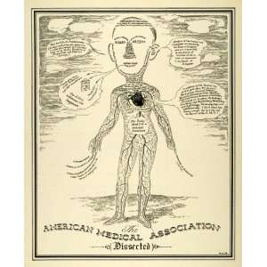1938 Print American Medical Association Circulatory System Veins Blood 